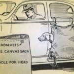 Dog sacks